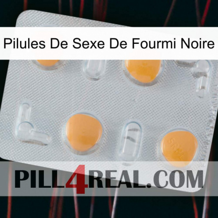 Black Ant Sex Pills 24
